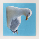 Seagull-Down Puzzle (Horizontal)
