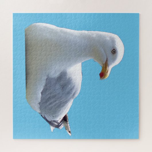 Seagull-Down Puzzle (Horizontal)