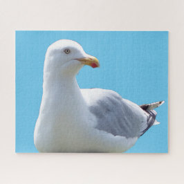 Seagull-Down Puzzle