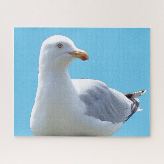 Seagull-Down Puzzle (Horizontal)