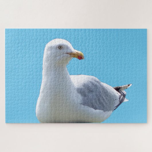 Seagull-Down Puzzle (Horizontal)