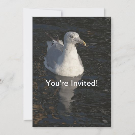 Seagull Einladung (Vorderseite)