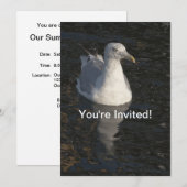 Seagull Einladung (Vorne/Hinten)