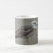 Seagull entspannt auf der Natur des sandigen, gema Kaffeetasse (Mittel)