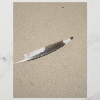 Seagull Feather