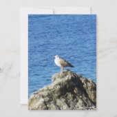 Seagull Feiertagskarte (Vorderseite)