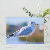 Seagull Feiertagskarte (Stehend Vorderseite)