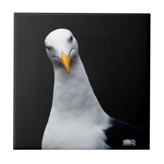 Seagull Fliese (Vorderseite)