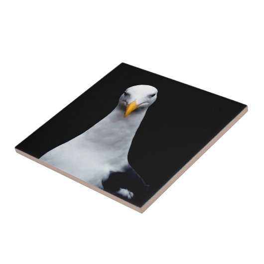 Seagull Fliese (Seite)