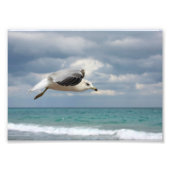 Seagull-Flug Fotodruck (Vorne)