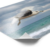 Seagull-Flug Fotodruck (Ecke)