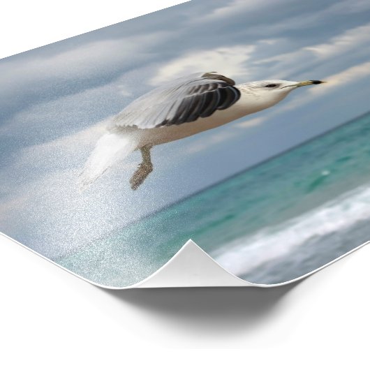 Seagull-Flug Fotodruck (Ecke)