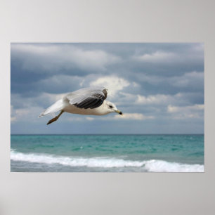 Seagull-Flug Poster