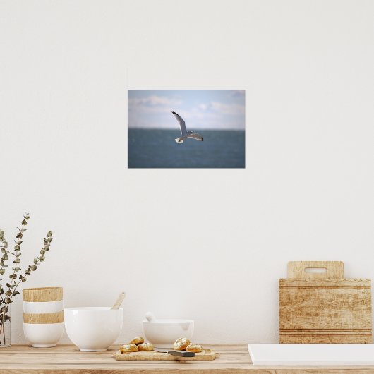 Seagull Flying Photo Poster (Küche)