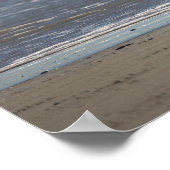 Seagull Flying Photo Poster (Ecke)