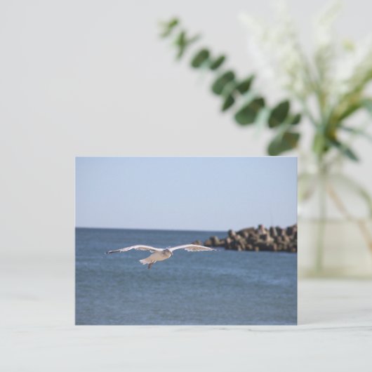 Seagull Flying Postcard Postkarte (Stehend Vorderseite)