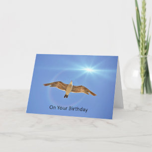 Seagull Flying Sky High in Sun Birthday Card Karte