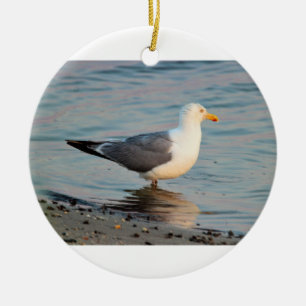 Seagull-Foto Keramik Ornament