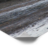 Seagull Foto Poster (Ecke)