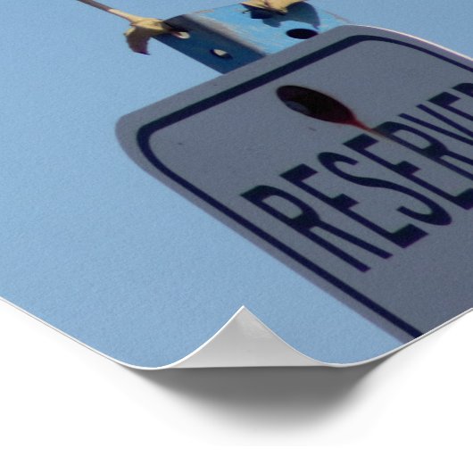 Seagull-Foto Poster (Ecke)