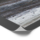 Seagull Foto Poster (Ecke)