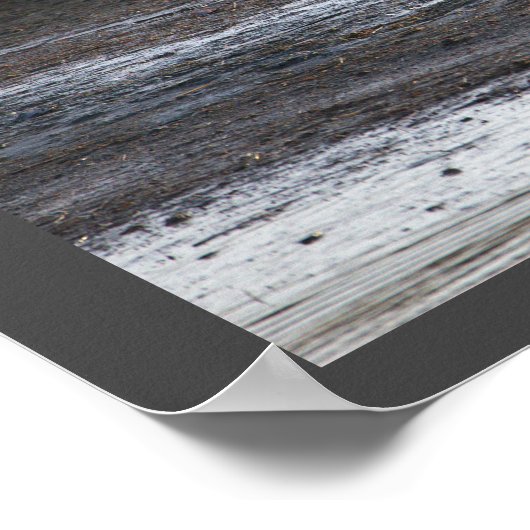 Seagull Foto Poster (Ecke)