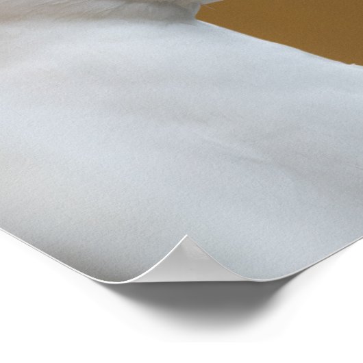 Seagull Foto Poster (Ecke)