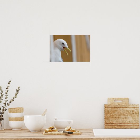 Seagull Foto Poster (Küche)