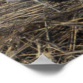 Seagull Foto Poster (Ecke)