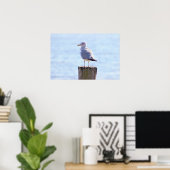 Seagull-Foto Poster (Heimbüro)