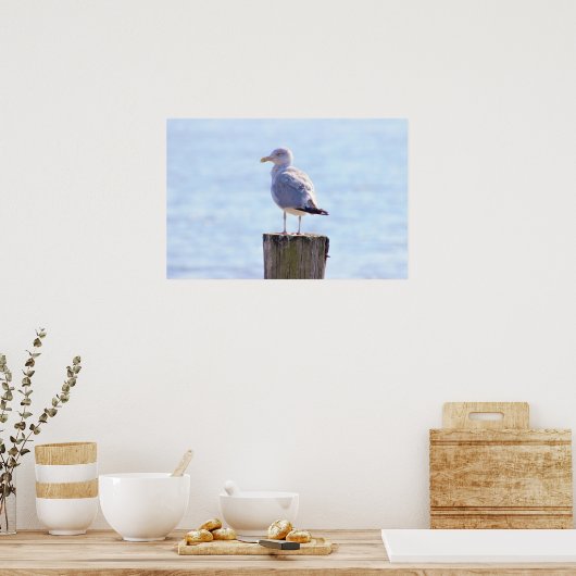 Seagull-Foto Poster (Küche)