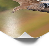 Seagull Foto Print (Ecke)