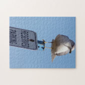 Seagull-Foto Puzzle (Horizontal)