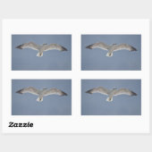 Seagull-Foto Rechteckiger Aufkleber (Blatt)