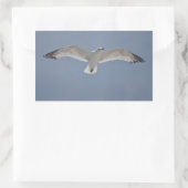 Seagull-Foto Rechteckiger Aufkleber (Tasche)