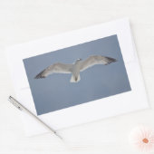 Seagull-Foto Rechteckiger Aufkleber (Umschlag)