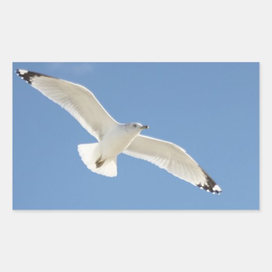 Seagull-Foto Rechteckiger Aufkleber (Vorderseite)