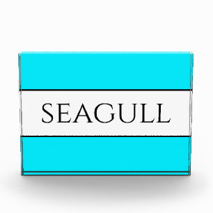 SEAGULL Fun Bright Hübsch Sky Blaue Streifen Fotoblock