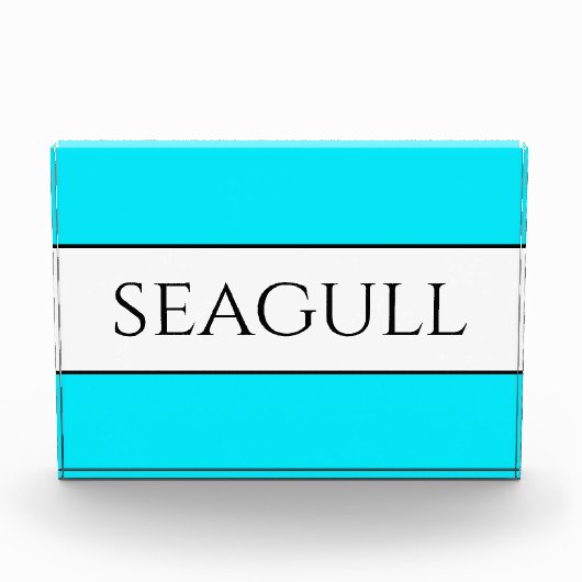 SEAGULL Fun Bright Hübsch Sky Blaue Streifen Fotoblock (Vorderseite)