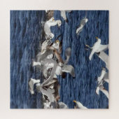 Seagull Fütternd Frenzy Acrylic Jigsaw Puzzle (Horizontal)