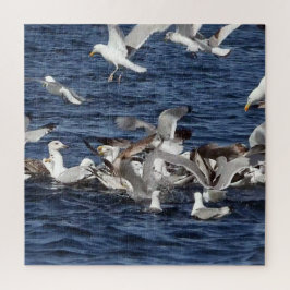 Seagull Fütternd Frenzy Acrylic Jigsaw Puzzle