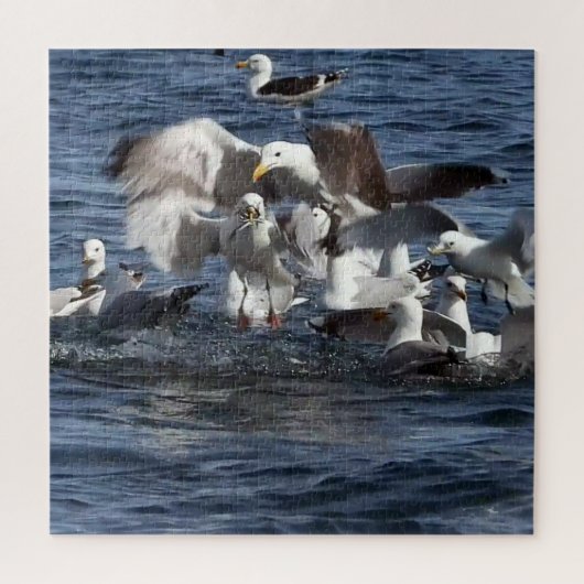 Seagull Fütternd Frenzy Acrylic Jigsaw Puzzle (Vertikal)
