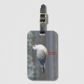 Seagull Gepäckanhänger (Vorderseite Vertikal)