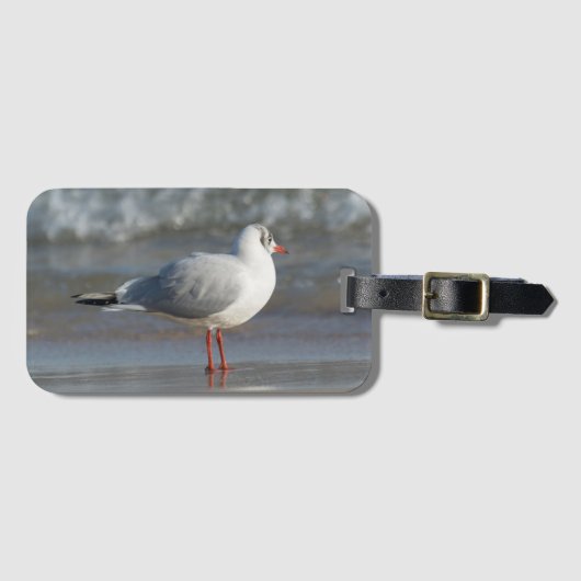 Seagull Gepäckanhänger (Vorderseite (Horizontal))