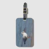 Seagull Gepäckanhänger (Vorderseite Vertikal)