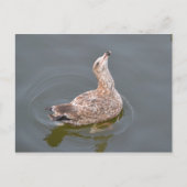 Seagull Gewartet Postkarte (Vorderseite)