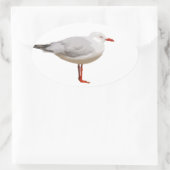 Seagull-Grafik Ovaler Aufkleber (Tasche)