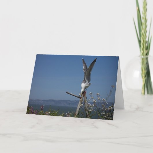 Seagull Greeting Card Karte (Vorderseite)