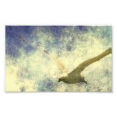 Seagull Grunge Fotodruck (Vorne)