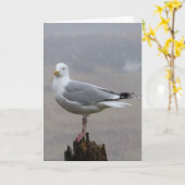 Seagull-Grüße Textkarte hinzufügen Karte (Gelbe Blume)